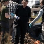 Macabro hallazgo en California: encuentran los cuerpos de 117 perros, muchos con agujeros de bala, en un santuario "sin sacrificio" en la localidad de Fortuna