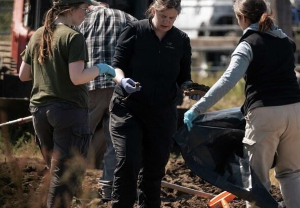Macabro hallazgo en California: encuentran los cuerpos de 117 perros, muchos con agujeros de bala, en un santuario "sin sacrificio" en la localidad de Fortuna