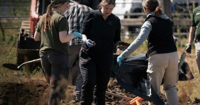 Macabro hallazgo en California: encuentran los cuerpos de 117 perros, muchos con agujeros de bala, en un santuario "sin sacrificio" en la localidad de Fortuna