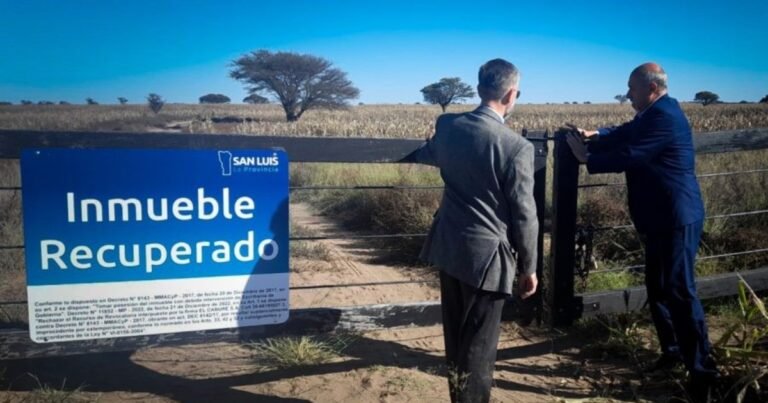 "Sí, cosechalo": un secretario de San Luis procesado y un juez de la Corte salpicado por un campo estatal con 1400 hectáreas de maíz