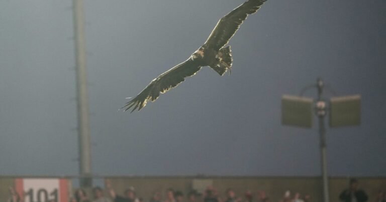 Qué es el ritual del águila que se hizo antes del amistoso entre Argentina e Islandia en Alabama