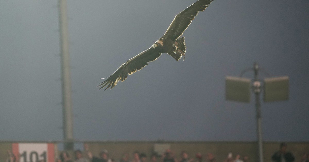 Qué es el ritual del águila que se hizo antes del amistoso entre Argentina e Islandia en Alabama