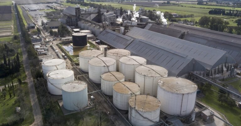 Una multinacional invertirá US$ 400 millones en la construcción de una de las mayores plantas de molienda del mundo en Argentina