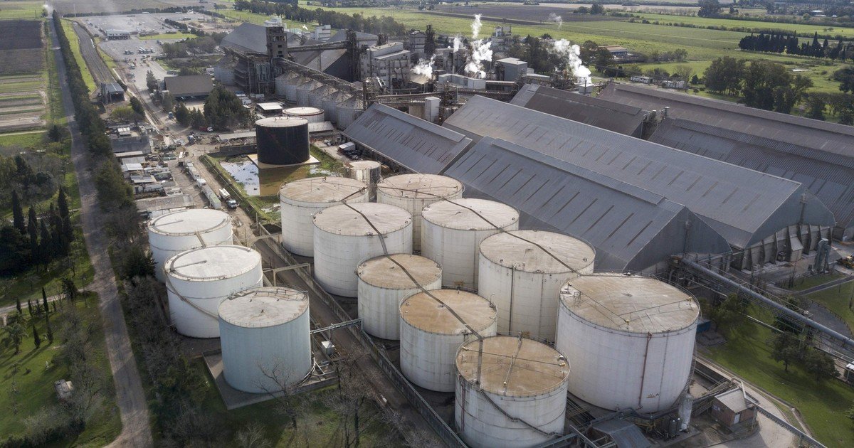 Una multinacional invertirá US$ 400 millones en la construcción de una de las mayores plantas de molienda del mundo en Argentina