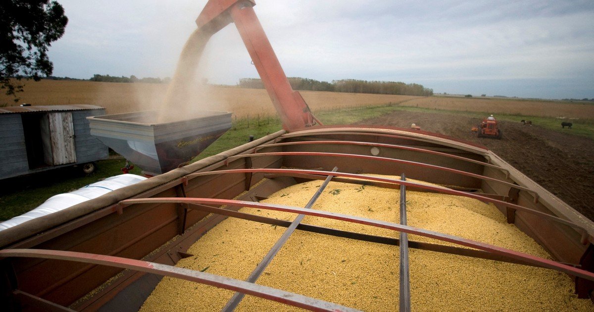 La soja llega a una zona decisiva: China, el clima y los aceites pueden definir el próximo gran movimiento