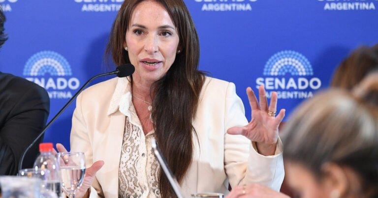 Organizaciones civiles rechazan el retiro del pliego de Verónica Michelli para jueza, sólo porque es familiar de un periodista