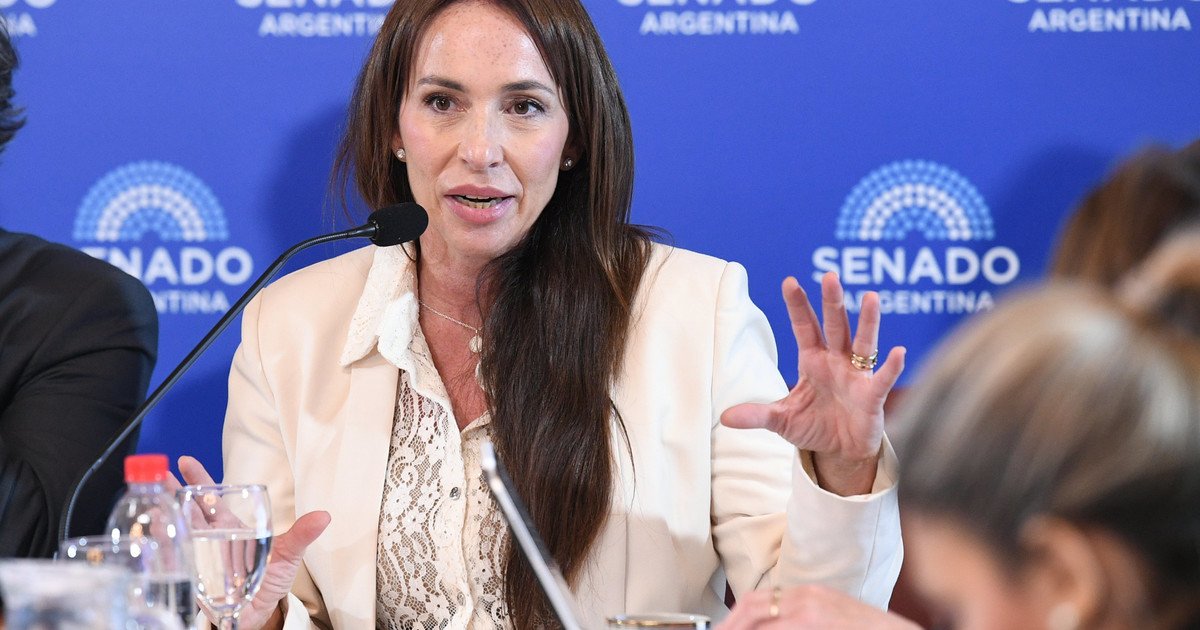 Organizaciones civiles rechazan el retiro del pliego de Verónica Michelli para jueza, sólo porque es familiar de un periodista