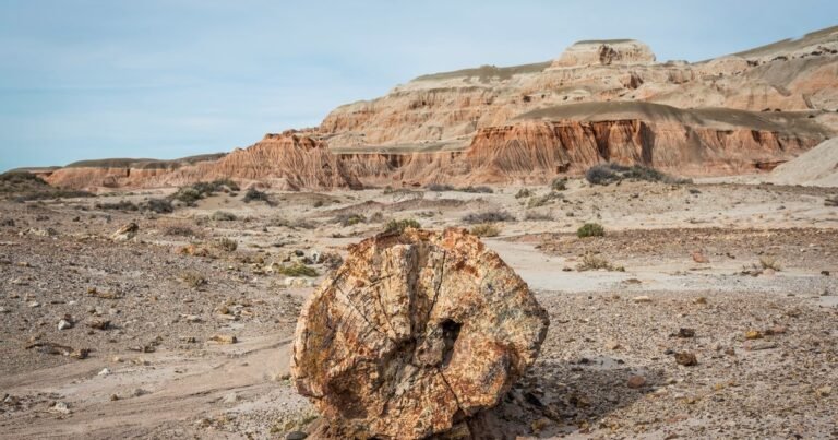 Científicos no dan crédito: abren un meteorito proveniente de Marte y se encuentran con una sorpresa