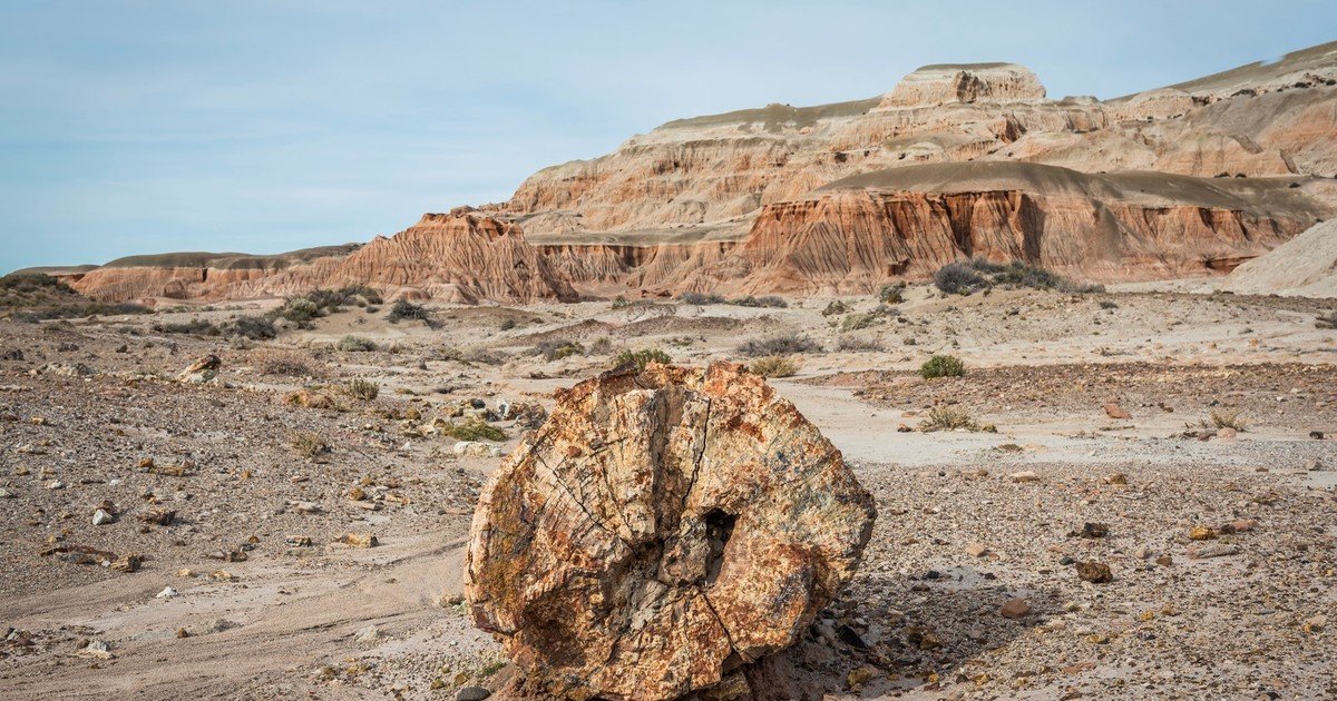 Científicos no dan crédito: abren un meteorito proveniente de Marte y se encuentran con una sorpresa