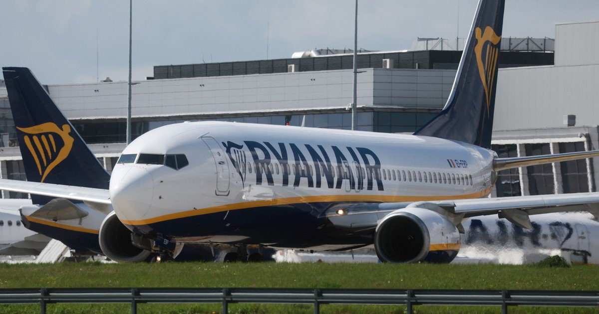 Escándalo en el aire: subió borracho al avión, discutió con su pareja, intentó atacar a un policía y recibió una feroz paliza