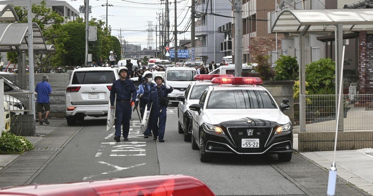 Capturaron al oso que provocó el cierre de casi 100 escuelas en Japón
