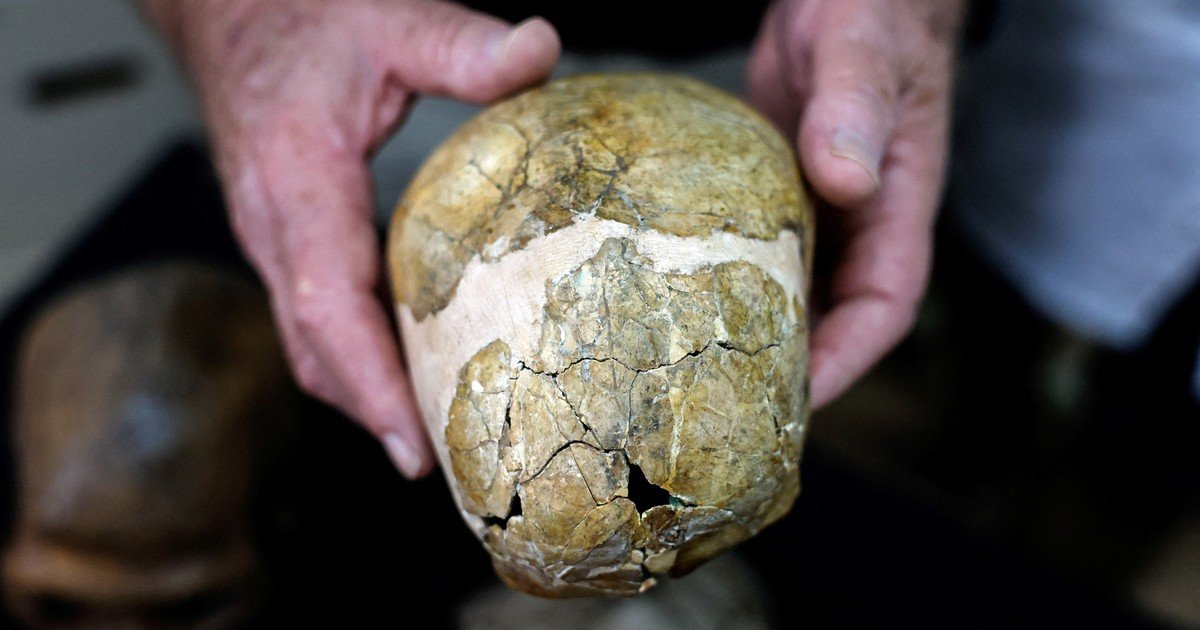 Hallaron en Israel el esqueleto de un bebé neandertal y reveló una diferencia clave con los humanos