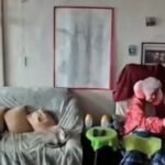 "Amor, no te vayas", el conmovedor video de una pareja de ancianos en medio del terremoto en Venezuela