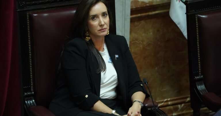 "Milei o su hermana le tienen celos a mi hija": la madre de Victoria Villarruel criticó al Presidente e insinuó que ambas son espiadas