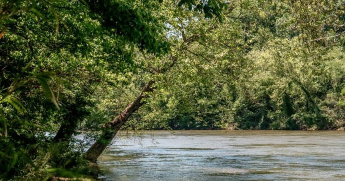 Los biólogos no dan crédito: con un ambicioso plan de reciclaje, Estados Unidos transformó uno de los ríos más contaminados por basura en un lugar de recreación