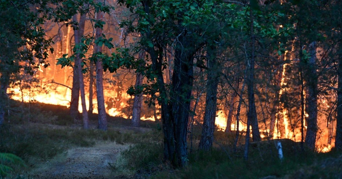 Un incendio arrasa los bosques de Fontainebleau, hogar de un histórico castillo, ciervos y jabalíes, a las puertas de París