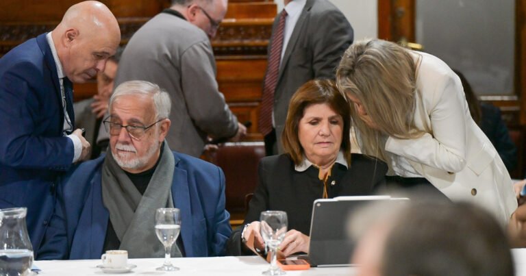Senado: el oficialismo espera el ingreso de nuevos pliegos y convocó a audiencias para recibir a 25 candidatos en agosto