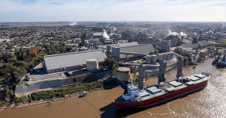 Por la baja de retenciones y una mayor demanda, dos empresas invertirán más de US$ 500 millones para construir una nueva planta de crushing de soja