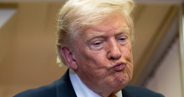Complicado en las encuestas, Donald Trump toma una polémica medida con vistas a las legislativas de noviembre