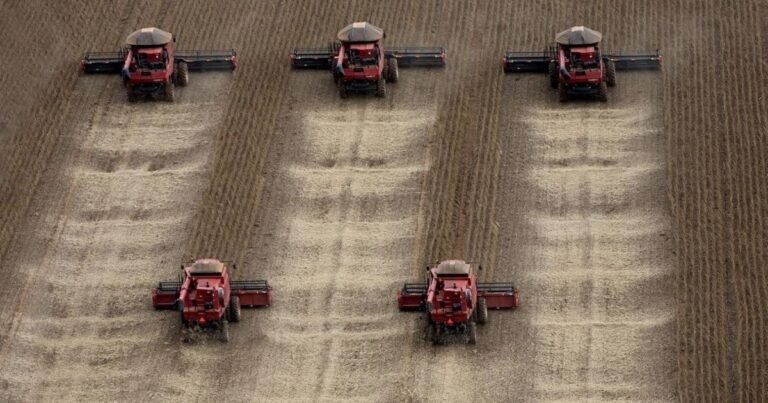 El agro argentino es el gran "gigante dormido" de la economía nacional
