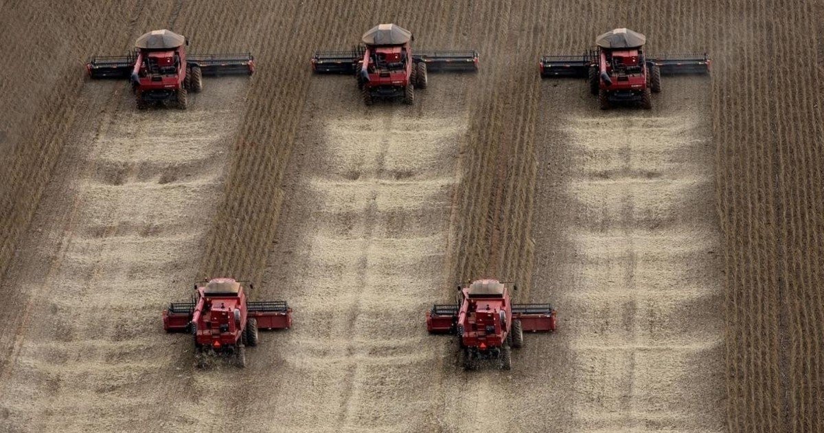 El agro argentino es el gran "gigante dormido" de la economía nacional