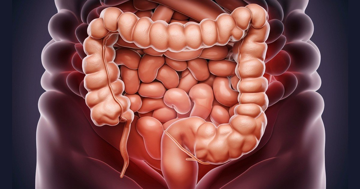 Cómo limpiar los intestinos de forma natural: qué hábitos ayudan a recuperar la regularidad sin forzar el cuerpo