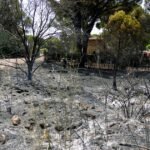 Evacúan a 3.500 personas de pueblo a 60 kilómetros m de Madrid por un incendio forestal