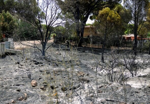 Evacúan a 3.500 personas de pueblo a 60 kilómetros m de Madrid por un incendio forestal