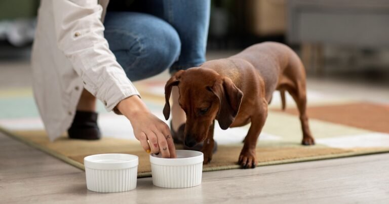 La psicología dice que si le decís “chau” a tu mascota antes de irte, estos son los 7 rasgos que podrías tener