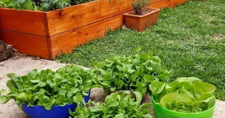 No son posos de café: los restos de cocina que puedes usar como tinte natural para madera