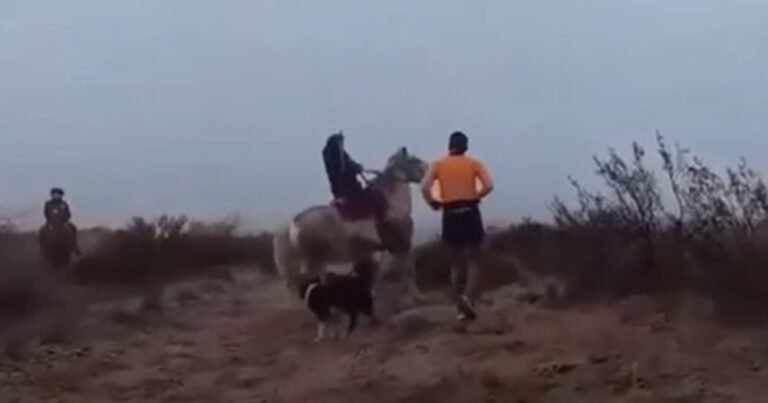 Ataque con boleadoras a runners en una carrera de montaña: denuncias cruzadas entre los corredores y una comunidad mapuche