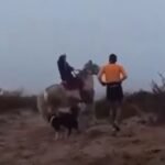 Agresiones a corredores en Río Negro: qué dijo la organización de la carrera y las justificaciones de los ataques de la comunidad mapuche