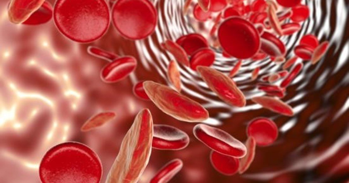 Los científicos no dan crédito: la Universidad de Hopkins presenta un avance inédito en la creación de un sustituto de sangre estable a temperatura ambiente