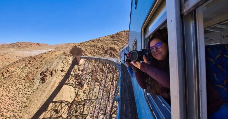 Tren a las Nubes: recorrido, fechas y precios para planificar las vacaciones de invierno 2026