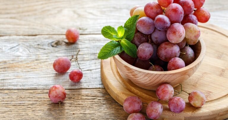 Los sommeliers no dan crédito: Texas envía uvas al espacio en un nuevo proyecto científico