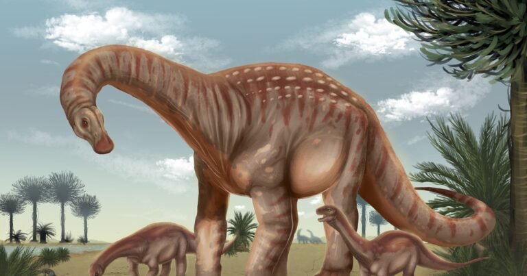 Hallan restos de una nueva especie de dinosaurio gigante, el "Mesetasaurus protector": el descubrimiento científico en Uruguay