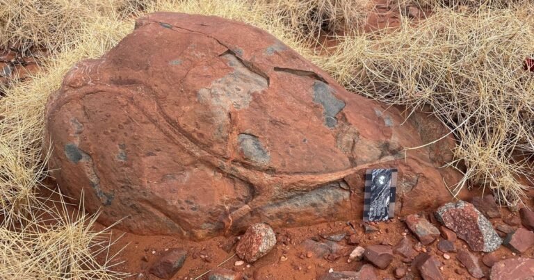 Científicos descubren que el agua penetró el interior de la Tierra miles de millones de años antes de lo pensado