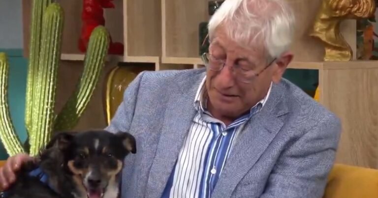 César, 80 años, en Dog House: "He venido a ver si encontramos una familia que cuide a mi perrito porque yo no puedo hacerme cargo"