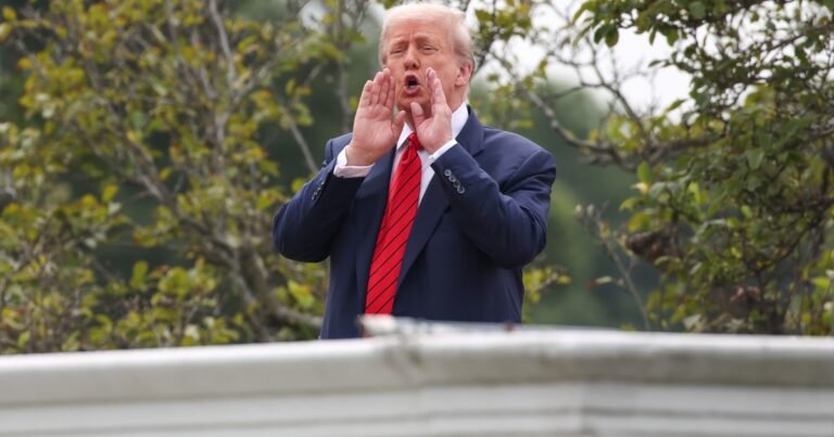 Por orden de Trump: la Casa Blanca plantará 47 árboles en un jardín para autohomenajear a su presidencia