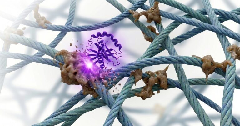 ¿Esta nueva enzima puede retroceder el reloj en el cuerpo humano?
