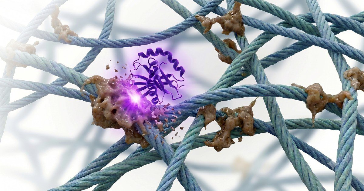¿Esta nueva enzima puede retroceder el reloj en el cuerpo humano?