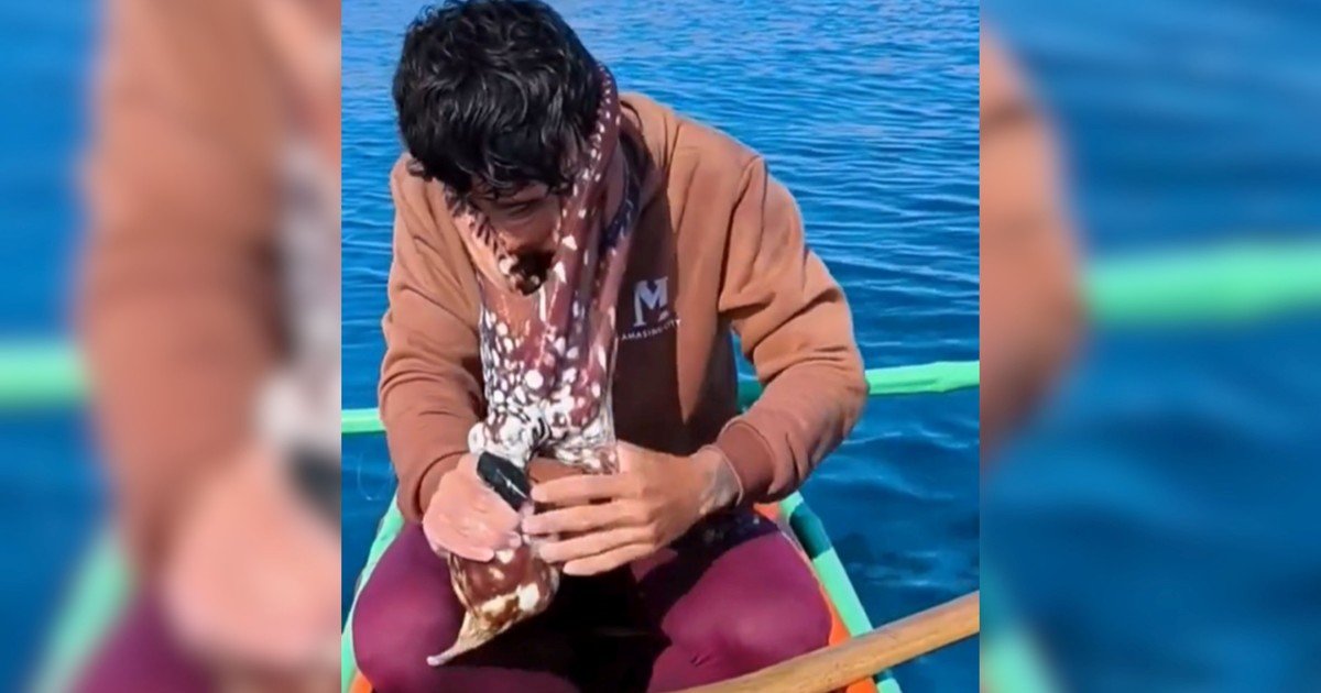 Un influencer pescador se enfrentó a un pulpo que se aferró a su cara: "Entré en pánico, no sabía qué hacer. Cada tirón que le daba, más se apretaba contra mí"