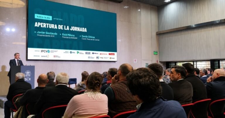 “Cambio de paradigma”: aseguran que la ganadería vive un momento “promisorio”, aunque remarcan la necesidad de un financiamiento acorde para crecer