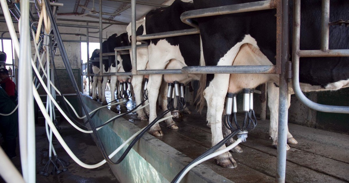 La gran oportunidad de la lechería se analizó en la Rural: “La argentina no es una industria rota, sino incompleta”