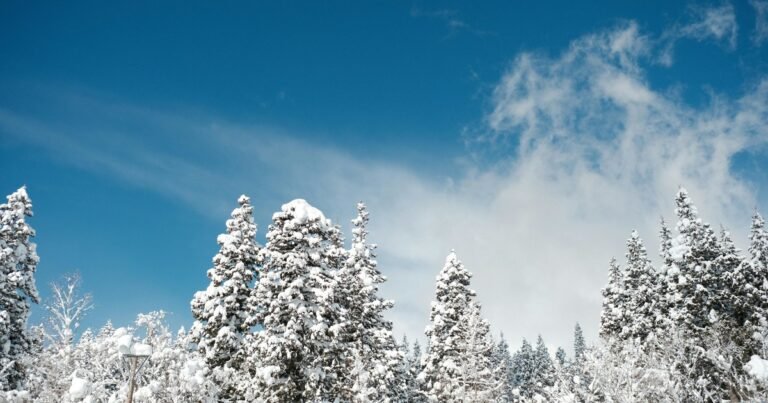 Clima hoy en Perito Moreno, Santa Cruz: el pronóstico del tiempo para este jueves 16 julio de 2026