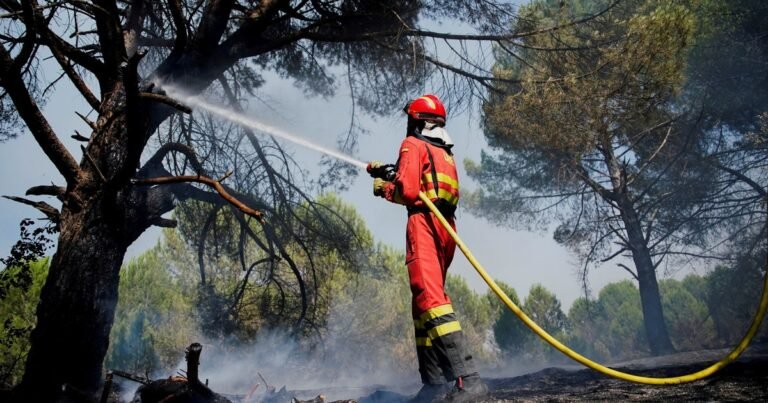 España enfrenta "el mayor incendio forestal" de su historia reciente