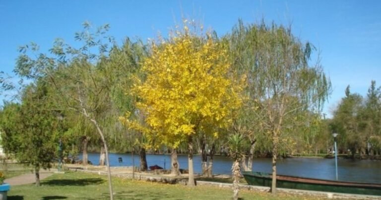 Dónde queda la “Venecia argentina”, el destino perfecto para una escapada de invierno entre naturaleza y tranquilidad