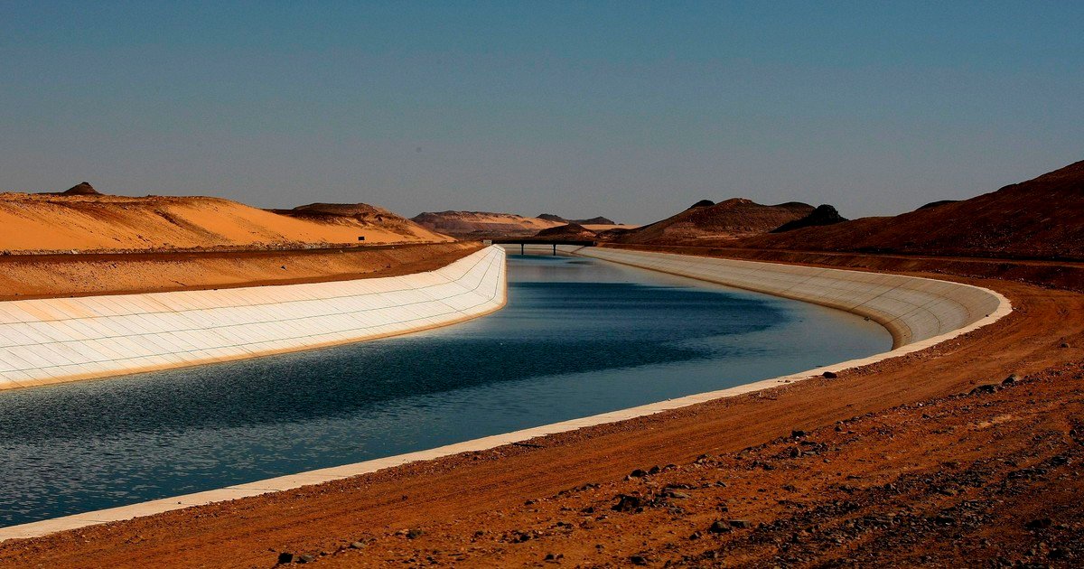 Argentina y Egipto: dos potencias agropecuarias muy distintas que fortalecen su vínculo comercial