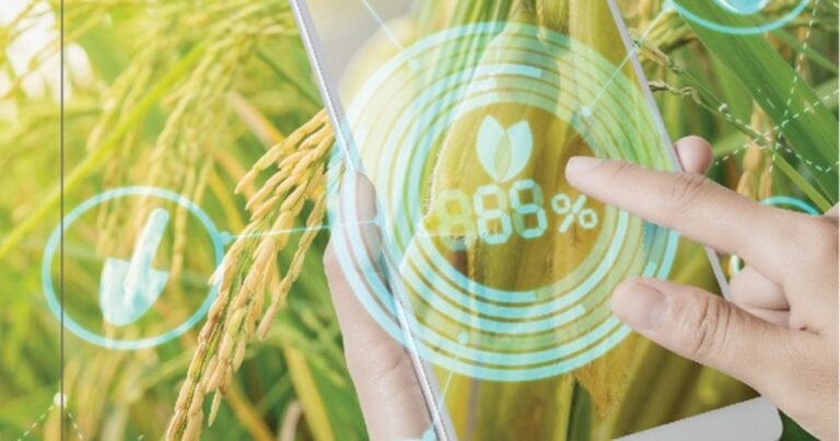 La geopolítica ya llegó al campo: cómo construir la nueva agroindustria argentina