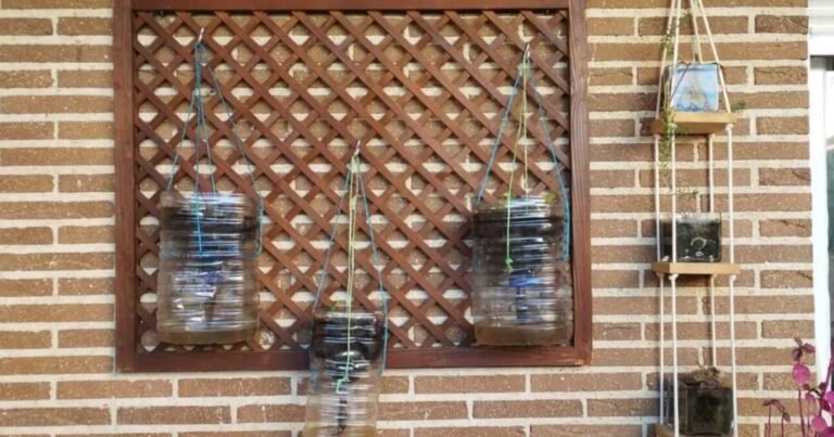 Si tienes botellas de plástico, no las tires: cómo reutilizarlas en el jardín